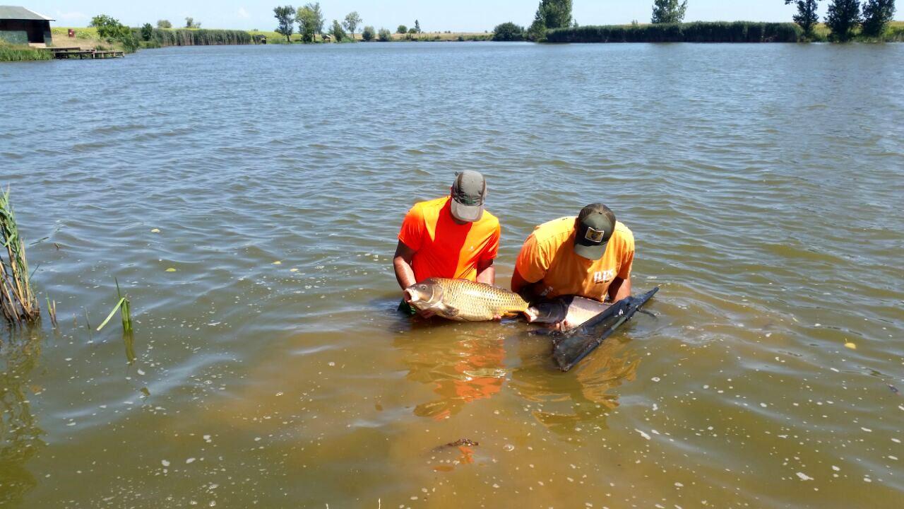 Lacul Teiu 23 - 26 iulie 2015 - o.jpg